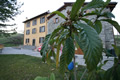 bed and breakfast colli bologna